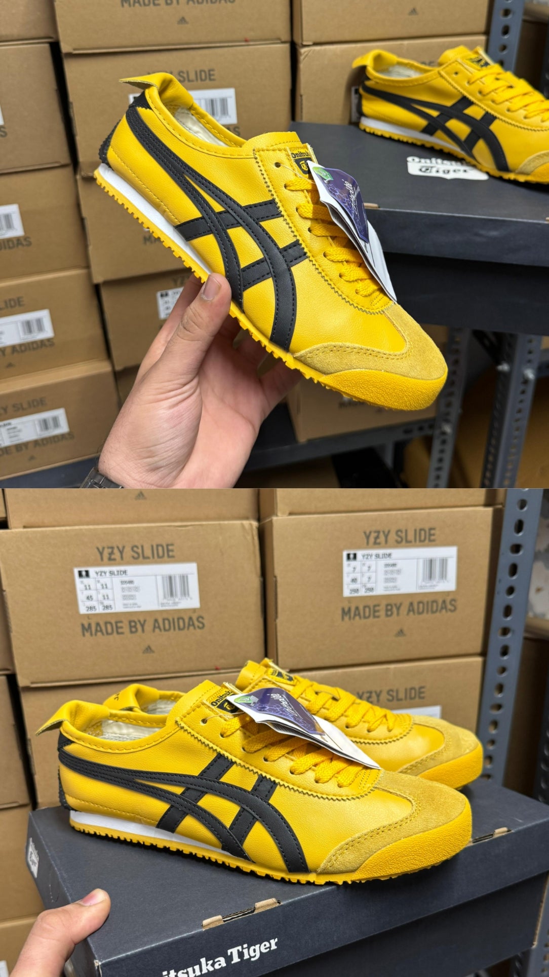 Tiger Mexico 66 Yellow Black
