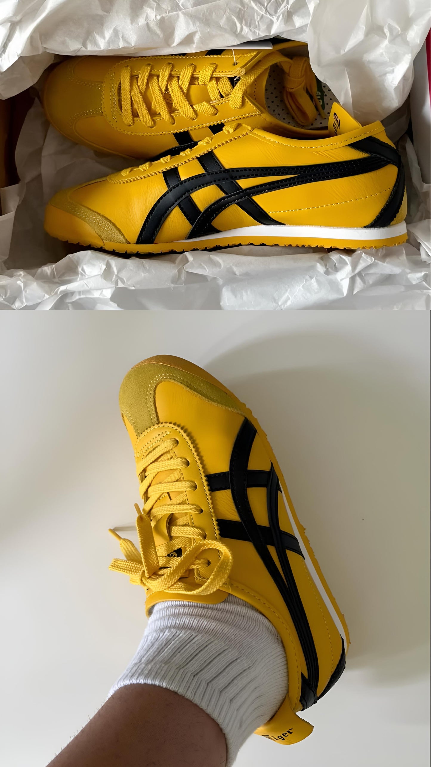 Tiger Mexico 66 Yellow Black