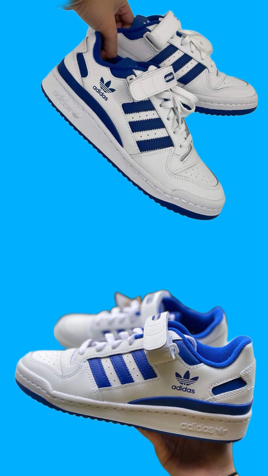 Adidass Forum 84 Low White Blue