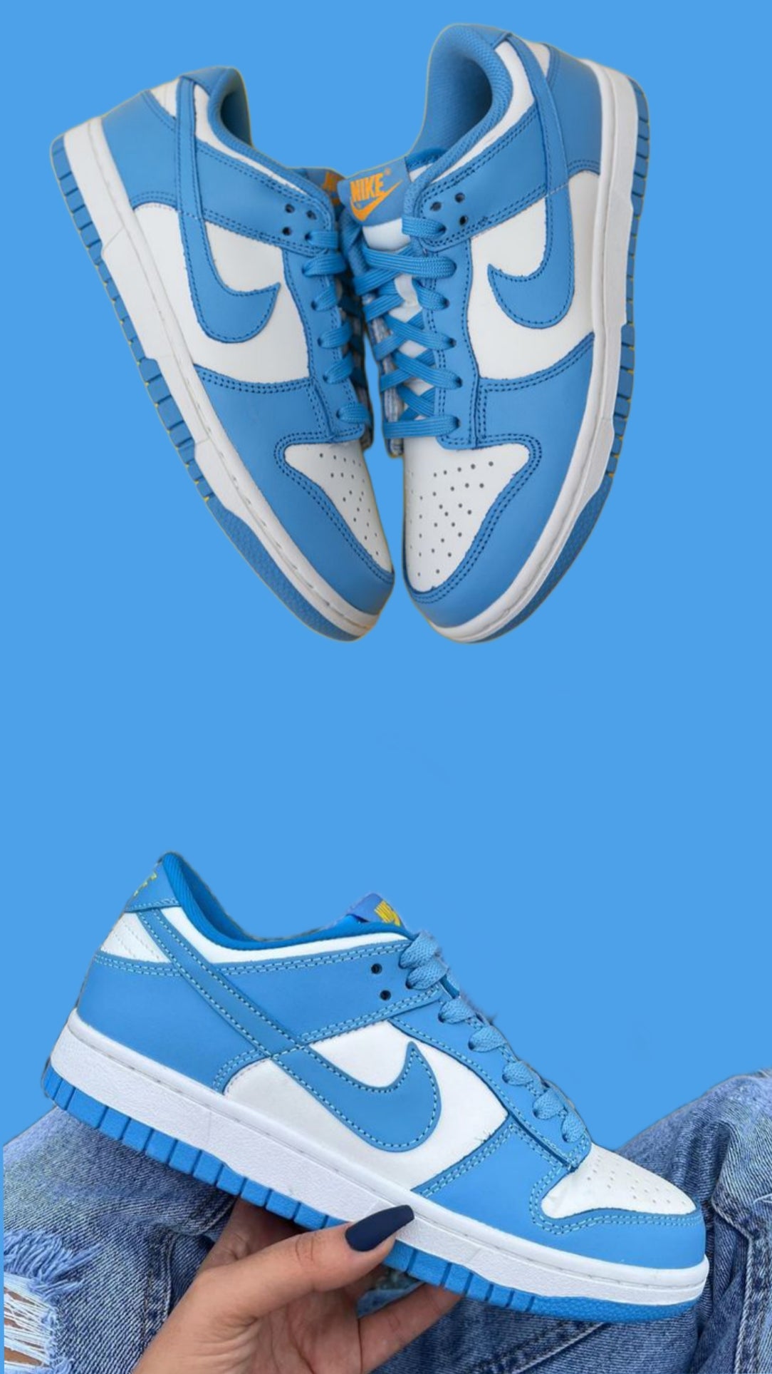 Nikee SB Dunk University Blue