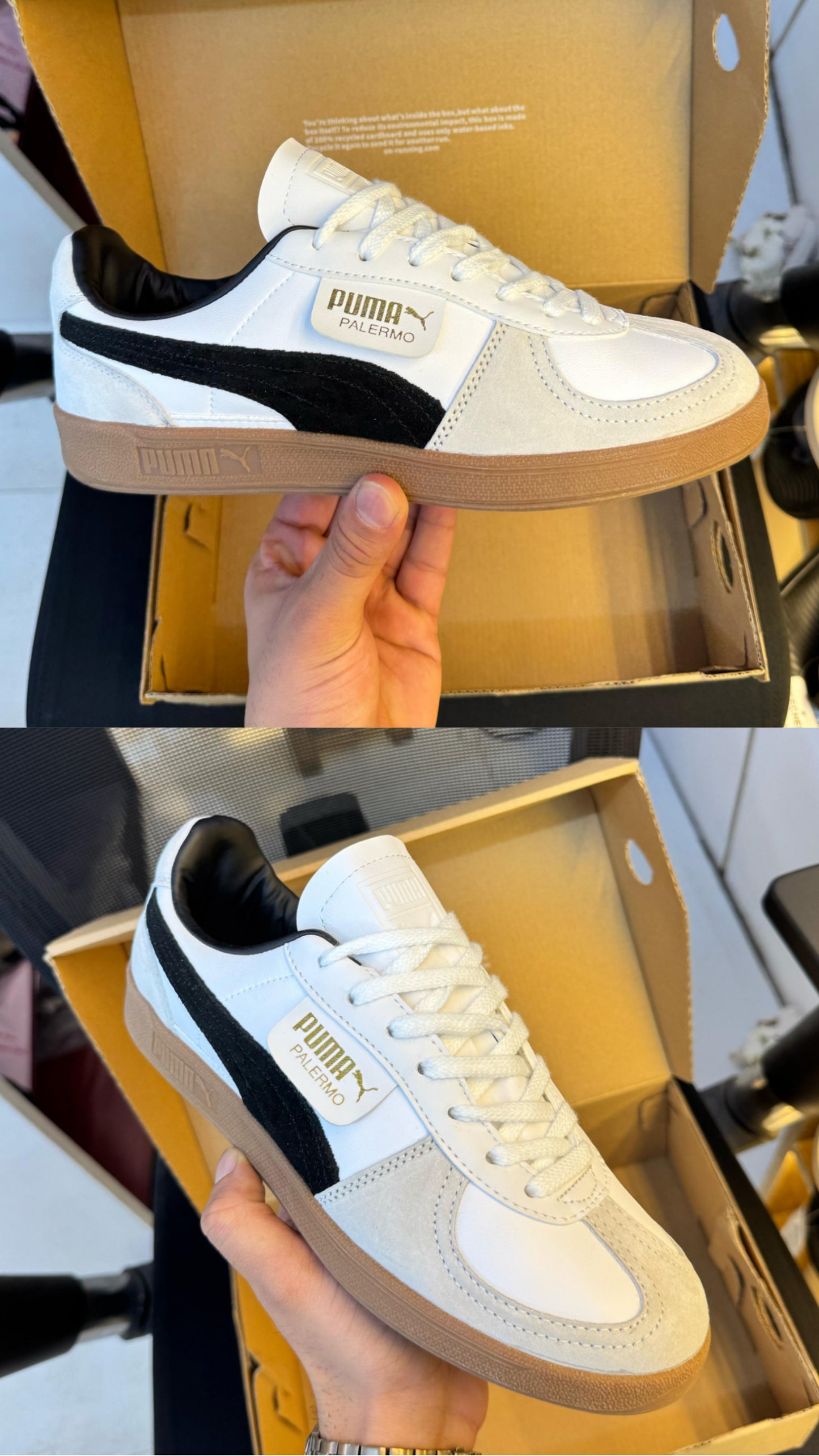 Pumaa Palermos White