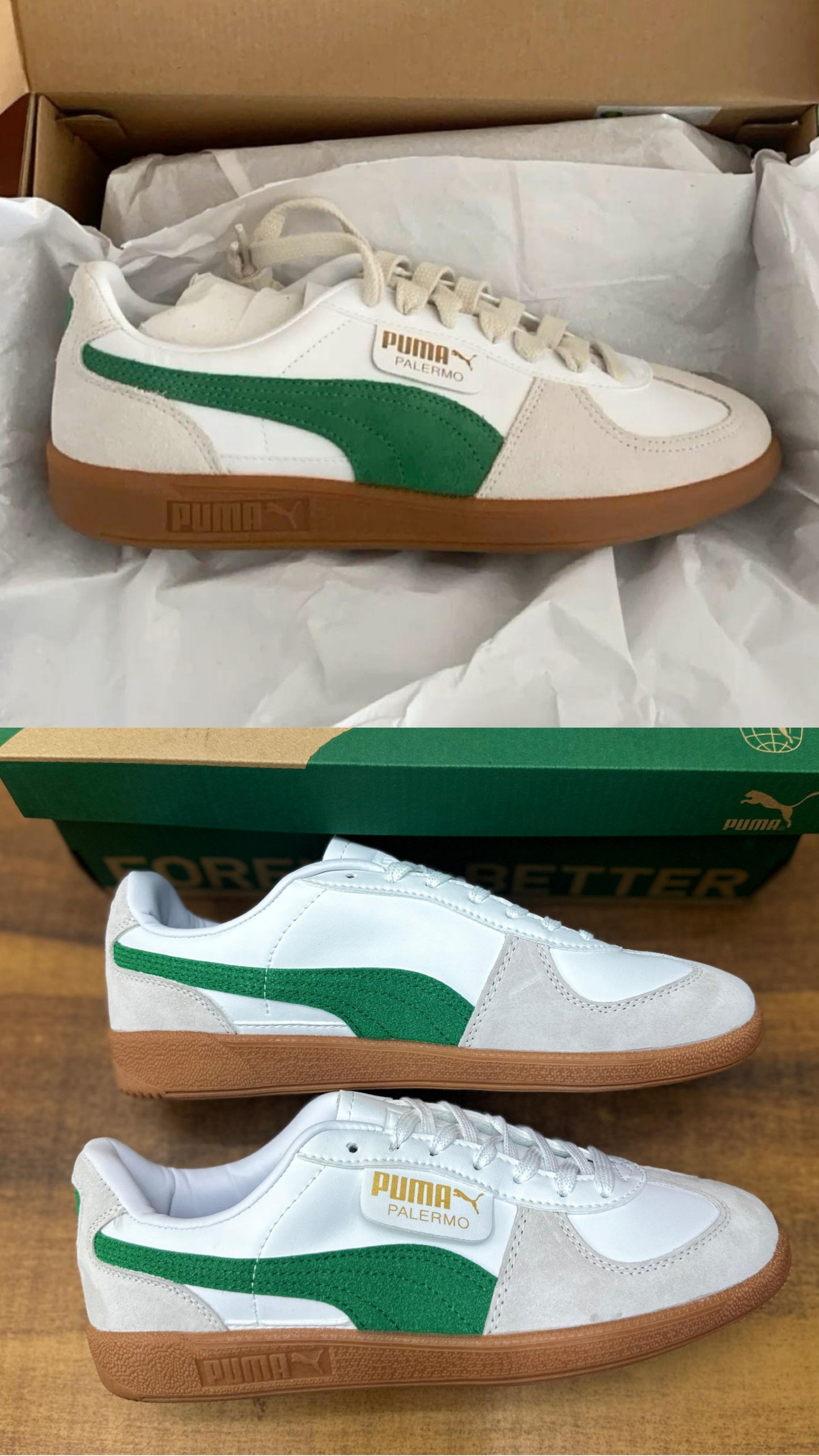 Pumaa Palermo’s Green